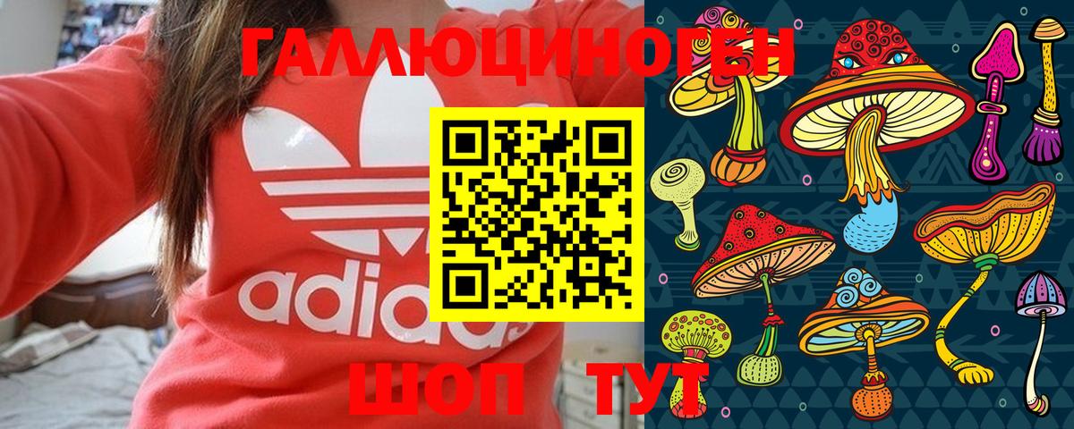 Галлюциногенные грибы Cubensis  где найти   Вязьма  Вход с VPN 